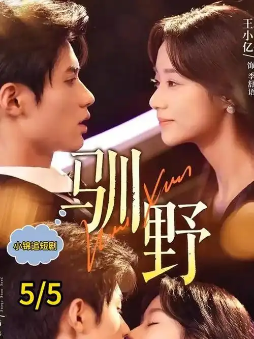 山海情剧照